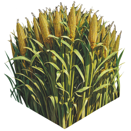 Здравоохранение Прикамья